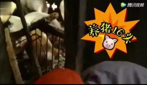 娱乐吃瓜酱变老特效,娱乐吃瓜酱变老特效,见证时光流转的魔力